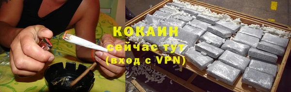 винт Инта