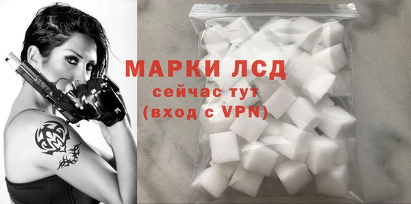 мяу мяу мука Инсар