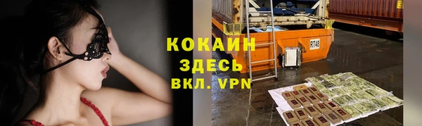 винт Инта