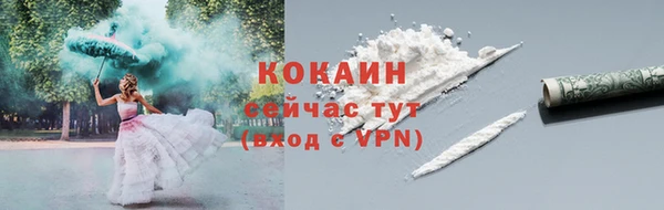 мяу мяу мука Инсар