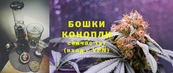 мяу мяу мука Инсар