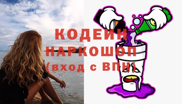 винт Инта