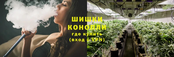 винт Инта