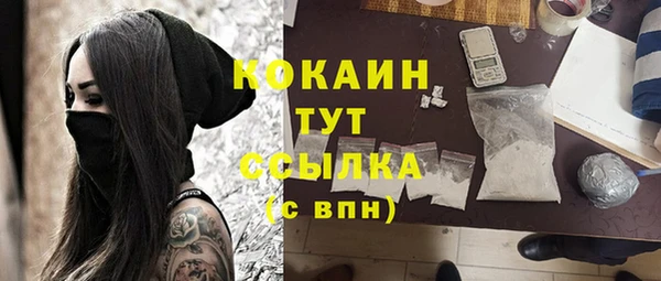 винт Инта