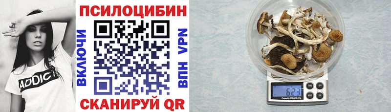 Галлюциногенные грибы Psilocybe  Купить  Карачаевск 